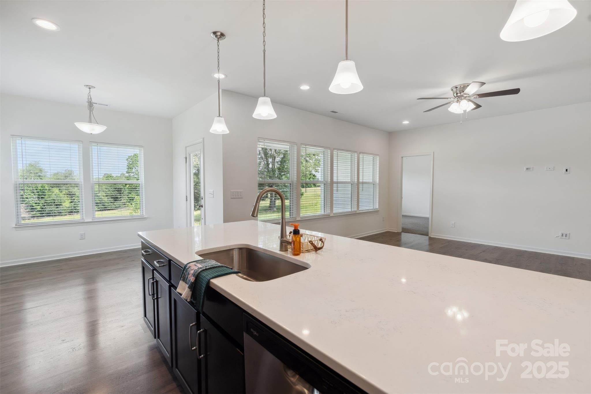 Single Family Residence at 117 Carmine Court, Troutman, photo 13 of 48