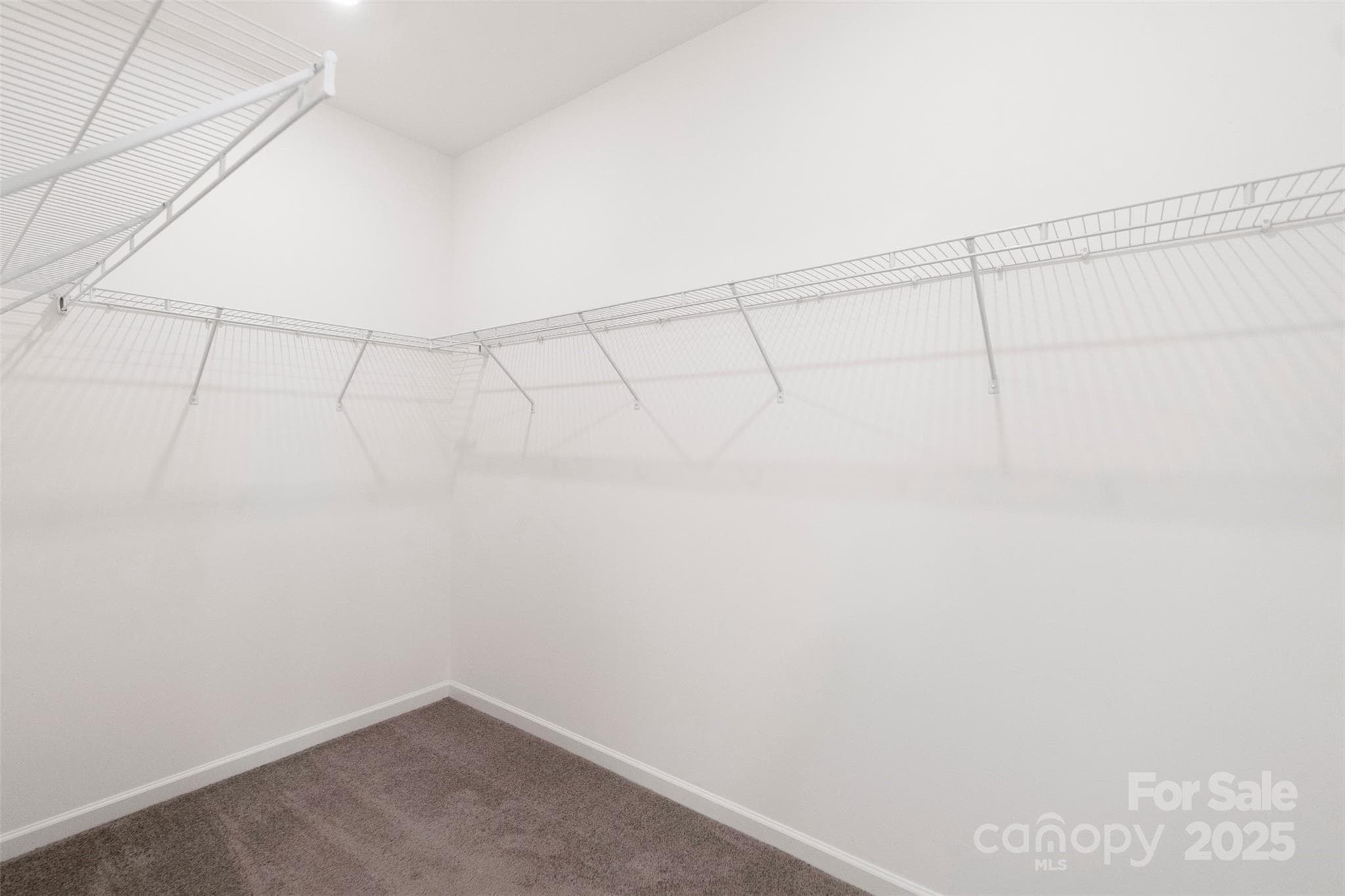 Huge walk-in closet in downstairs primary bedroom - 117 Carmine Court, Troutman
