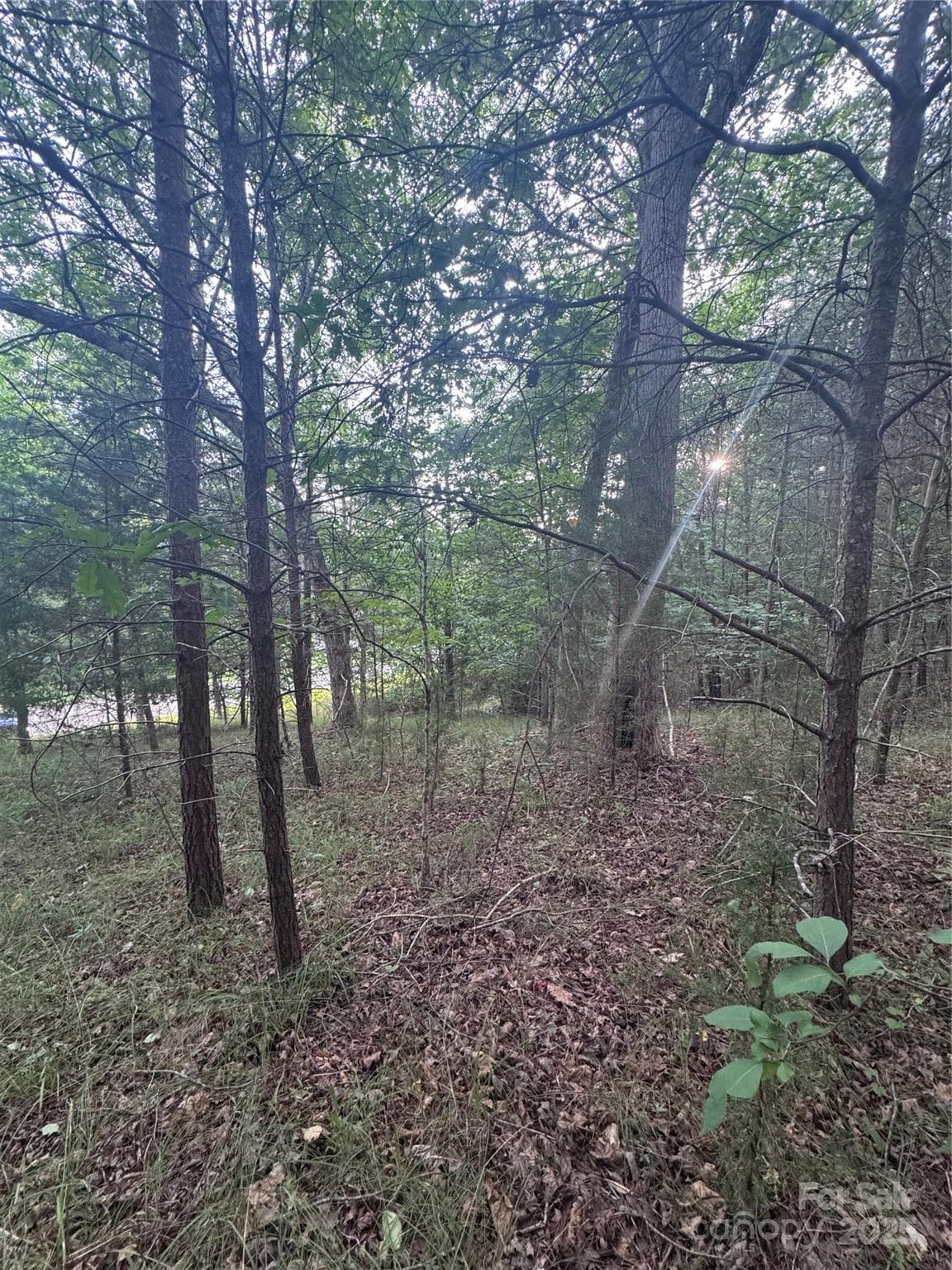 Lot at Rutherfordton, photo 3 of 17