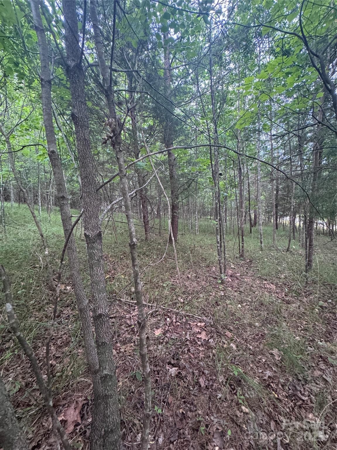 Lot at Rutherfordton, photo 4 of 17