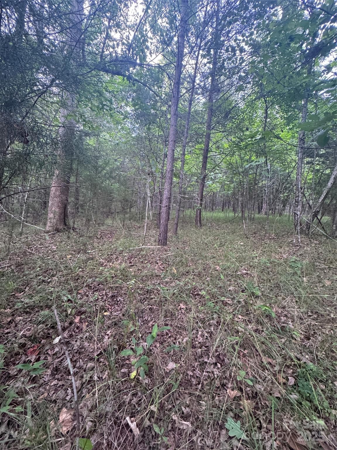 Lot at Rutherfordton, photo 5 of 17