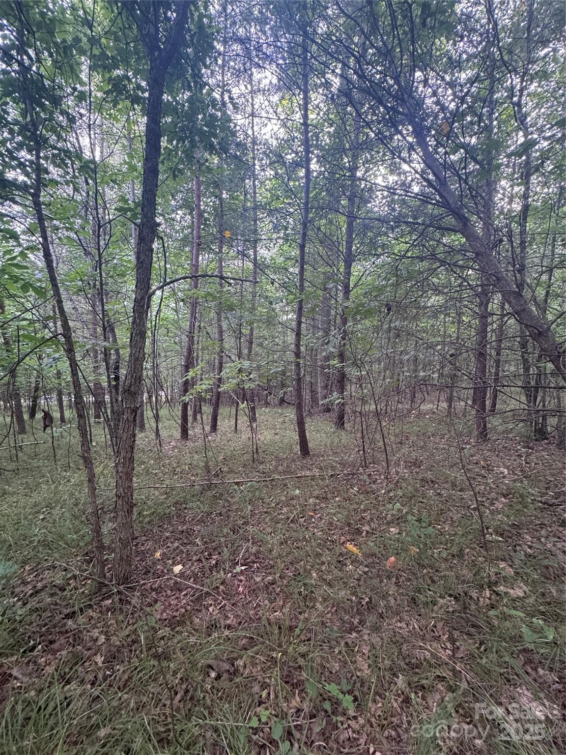 Lot at Rutherfordton, photo 7 of 17