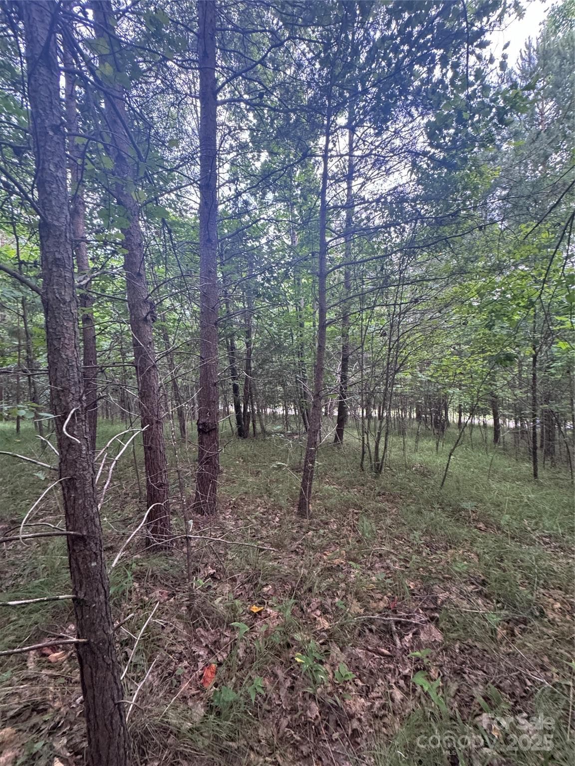 Lot at Rutherfordton, photo 9 of 17