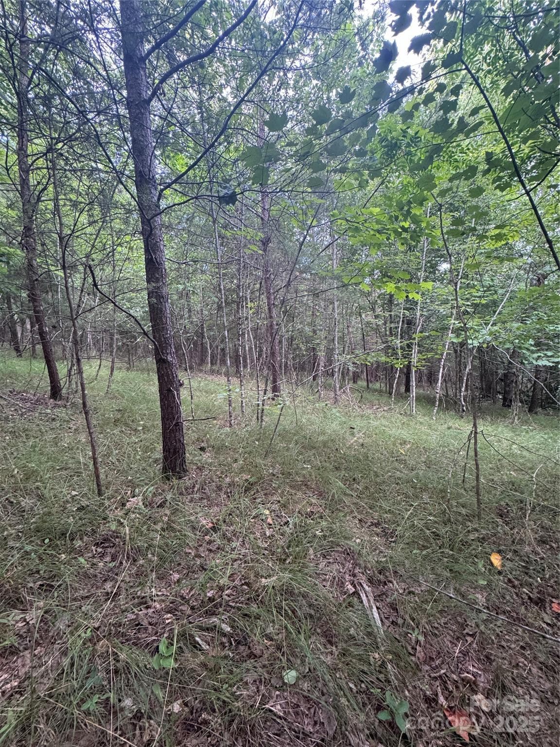 Lot at Rutherfordton, photo 10 of 17