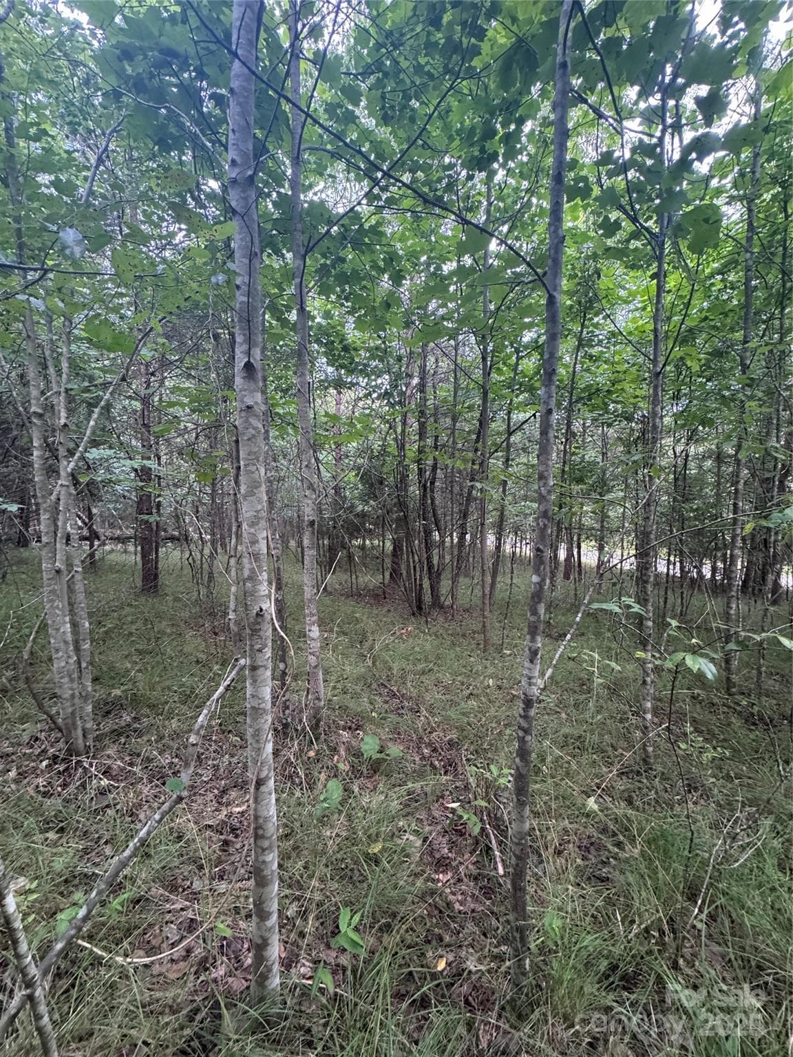 Lot at Rutherfordton, photo 11 of 17