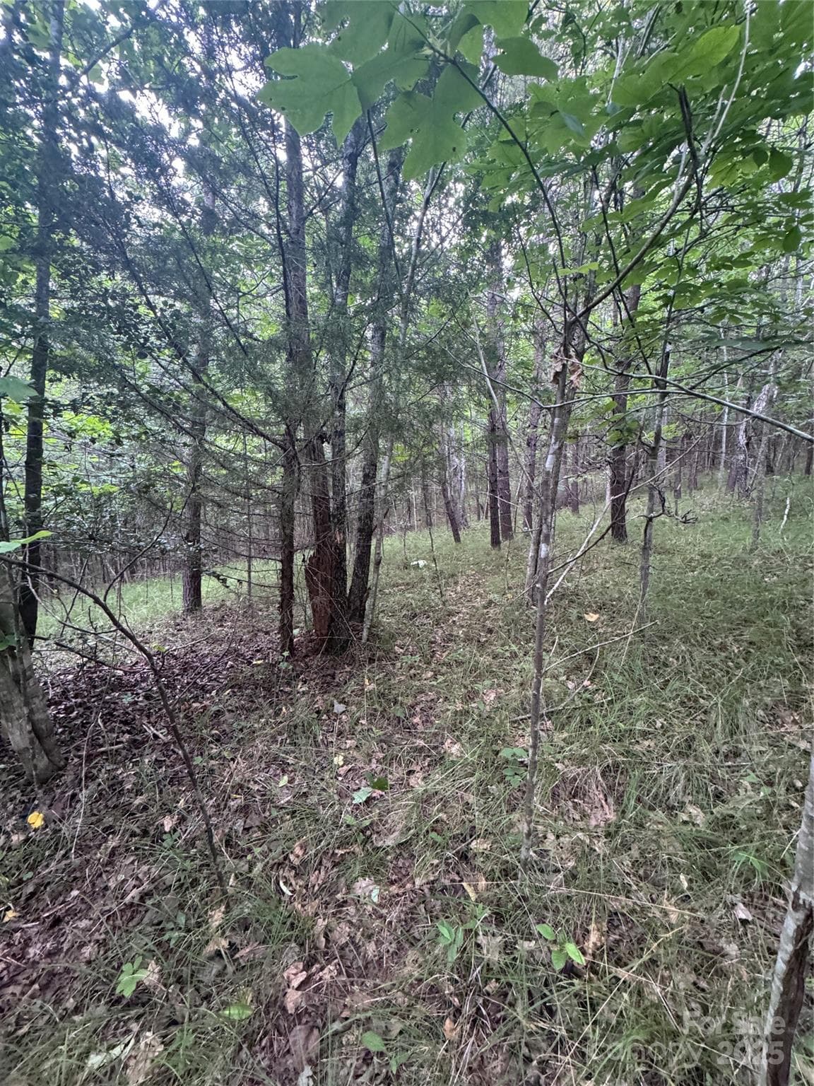 Lot at Rutherfordton, photo 13 of 17