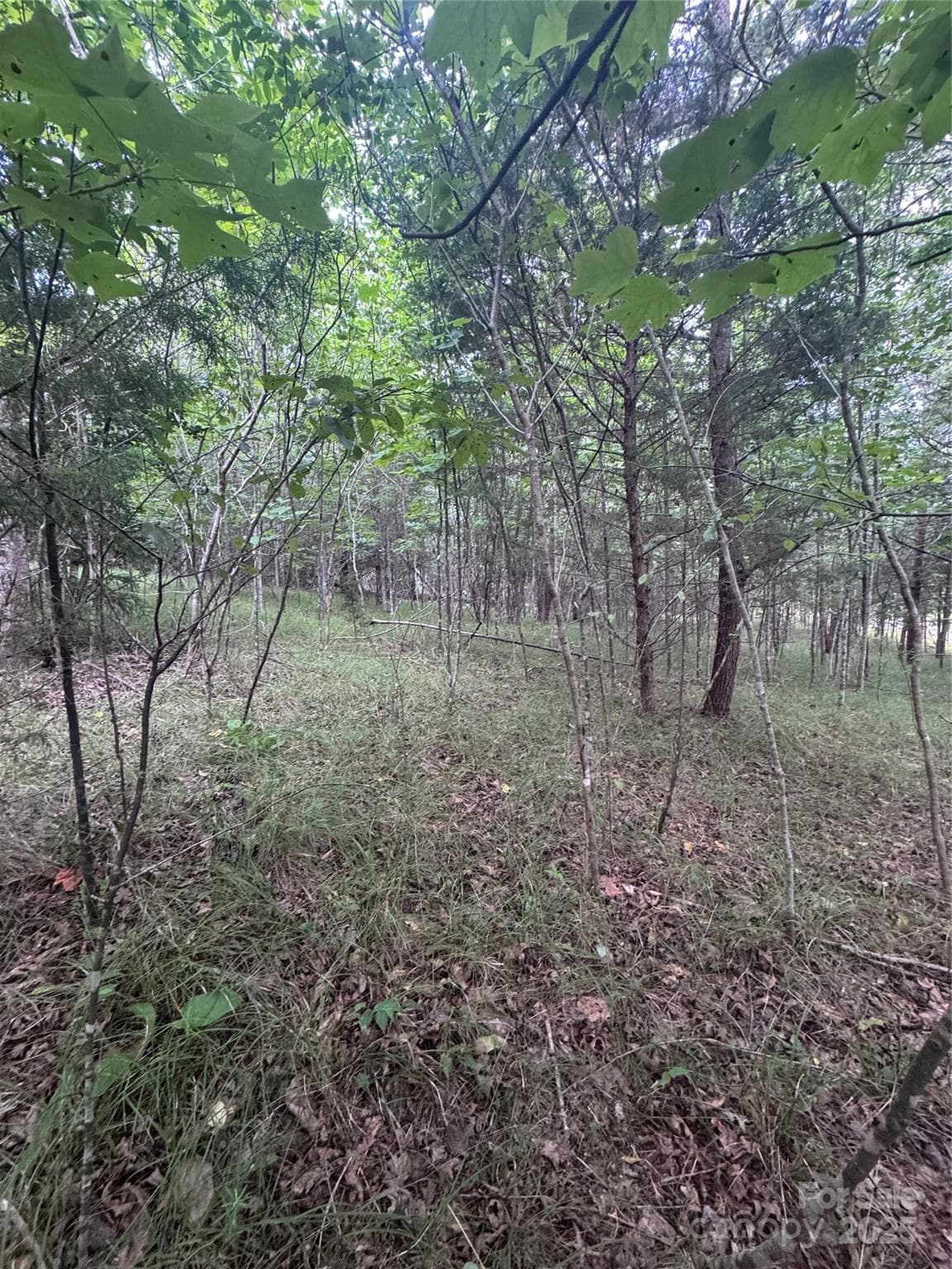 Lot at Rutherfordton, photo 15 of 17
