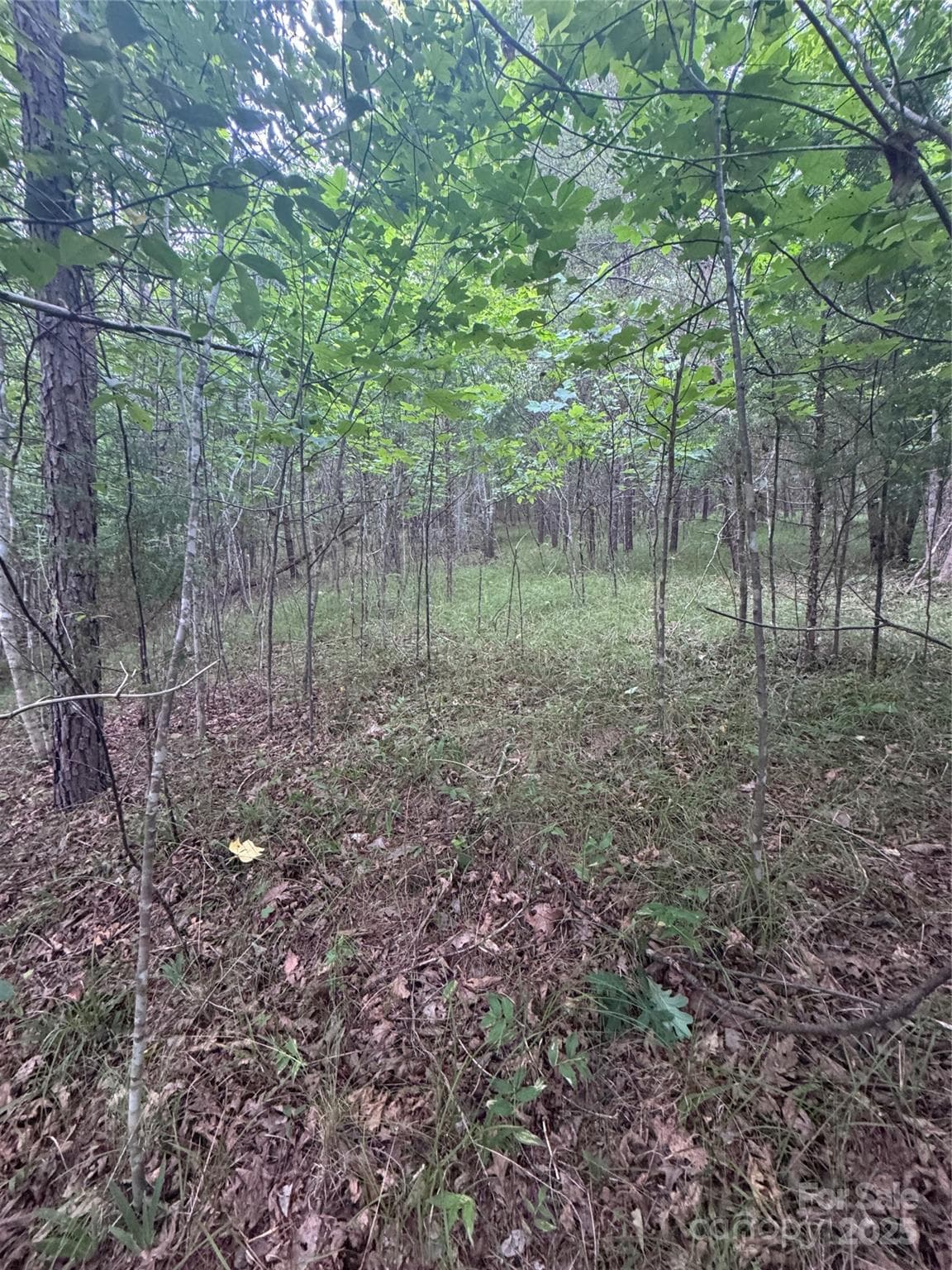 Lot at Rutherfordton, photo 16 of 17