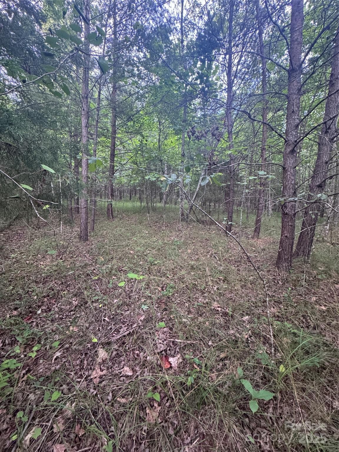 Lot at Rutherfordton, photo 17 of 17