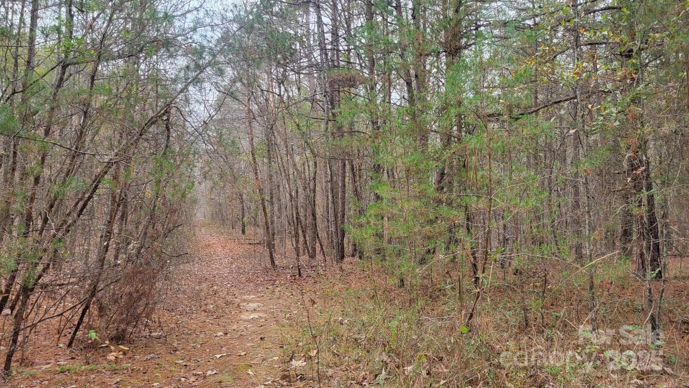 Unimproved Commercial at 0000 Indian Creek Road, Lincolnton, photo 3 of 10
