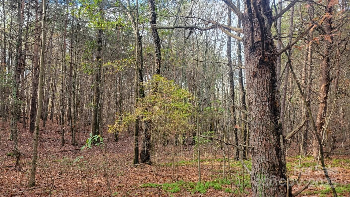 Unimproved Commercial at 0000 Indian Creek Road, Lincolnton, photo 5 of 10