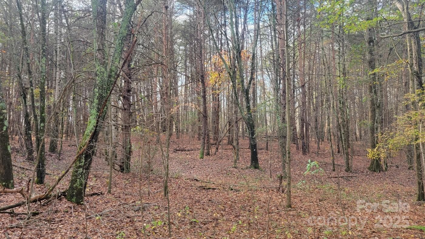 Unimproved Commercial at 0000 Indian Creek Road, Lincolnton, photo 6 of 10