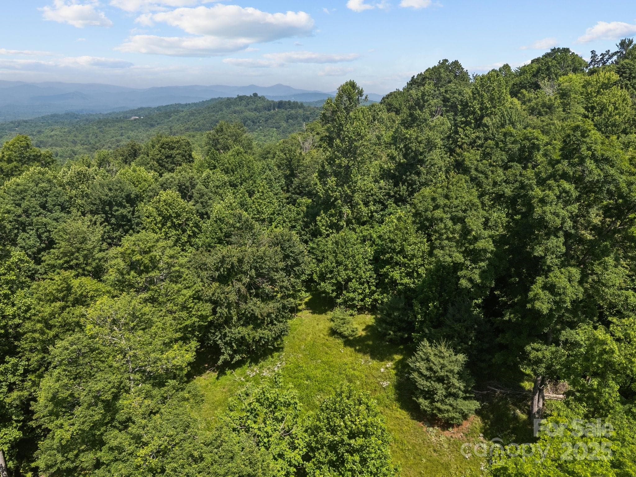Lot at Hendersonville, photo 6 of 16