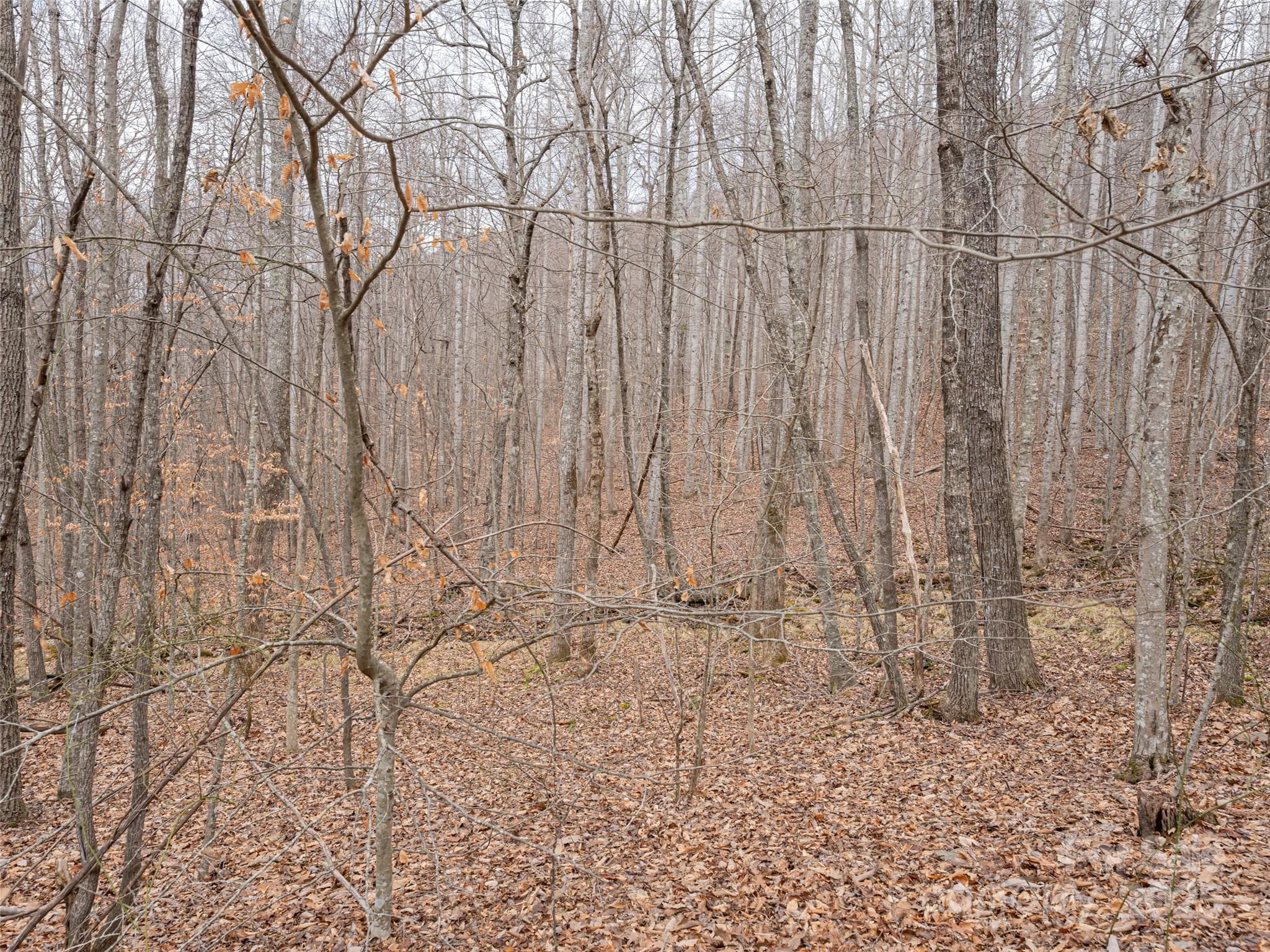 Lot at 522 & 528 Blue Mist Way, Arden, photo 21 of 36
