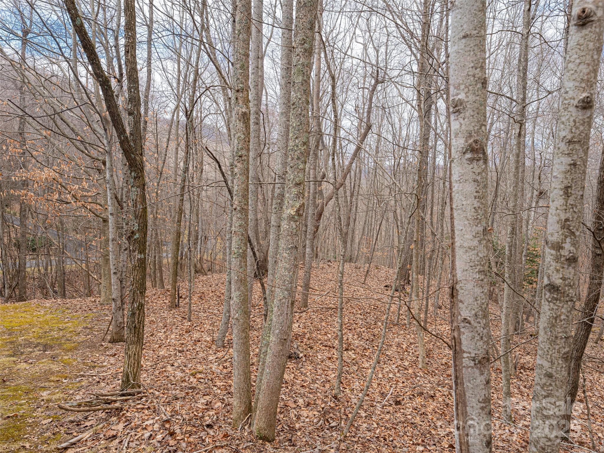 Lot at 522 & 528 Blue Mist Way, Arden, photo 22 of 36