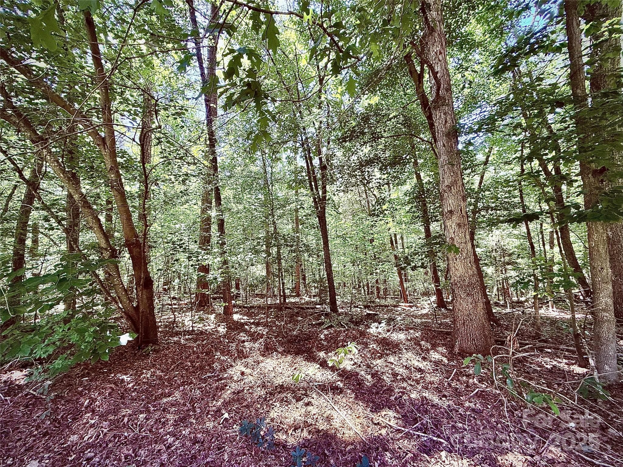 Acreage at 00 Margie Lane, Norwood, photo 4 of 7
