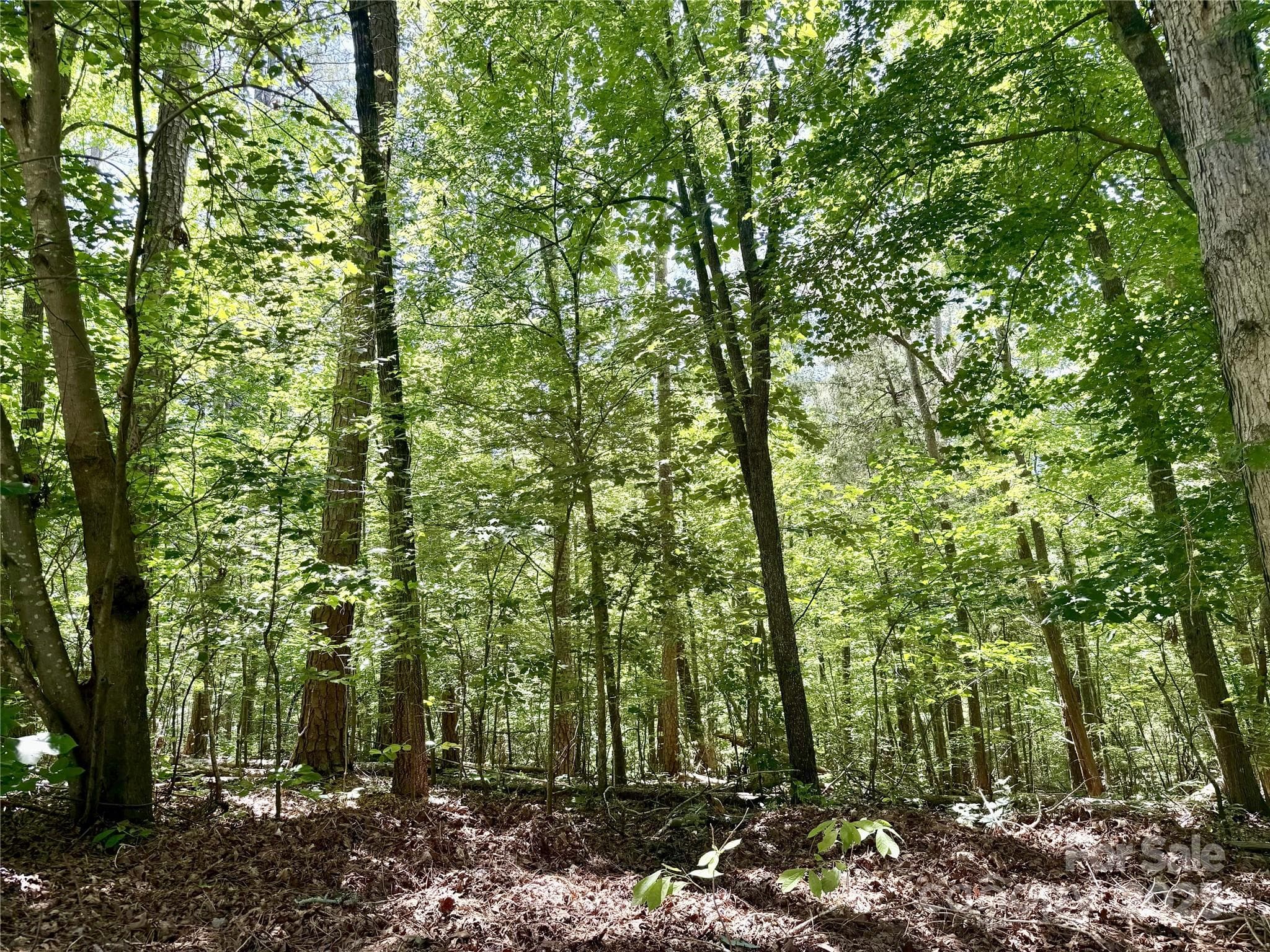 Acreage at 00 Margie Lane, Norwood, photo 7 of 7