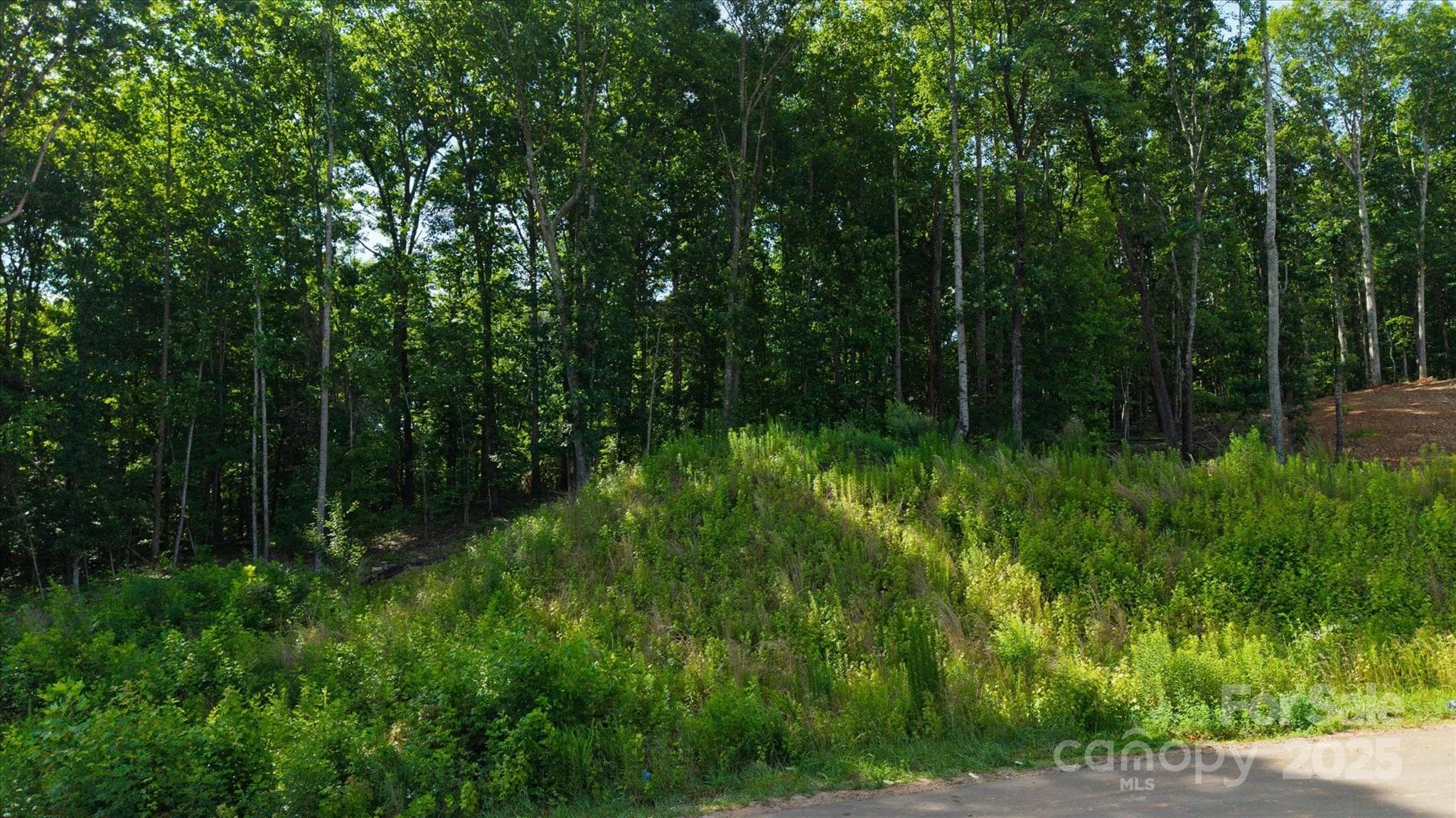 Lot at Kannapolis, photo 4 of 7