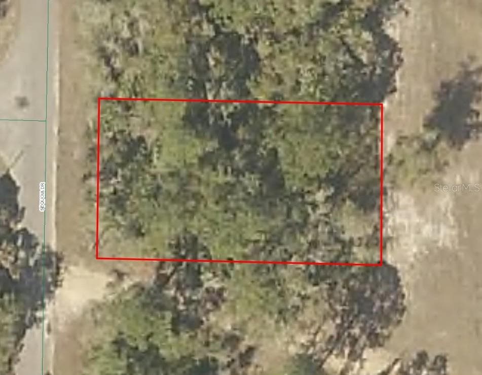 SEQUOIA DR