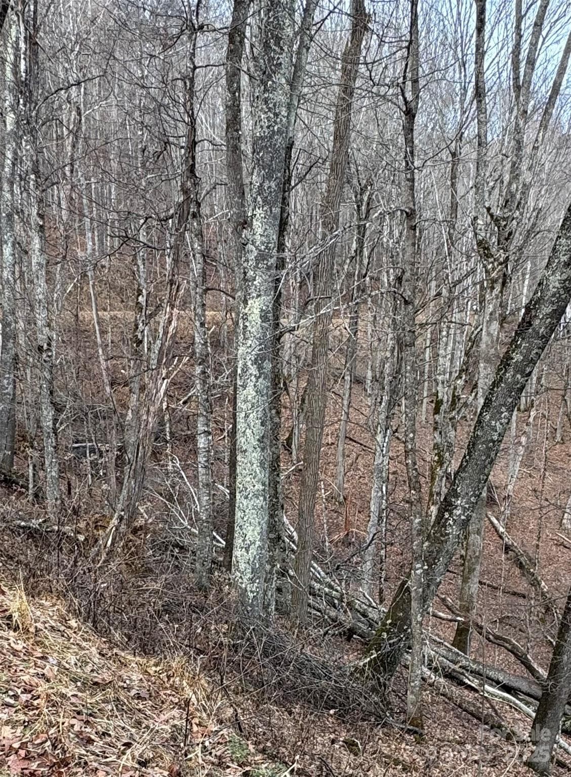 00 Spring Brook Drive