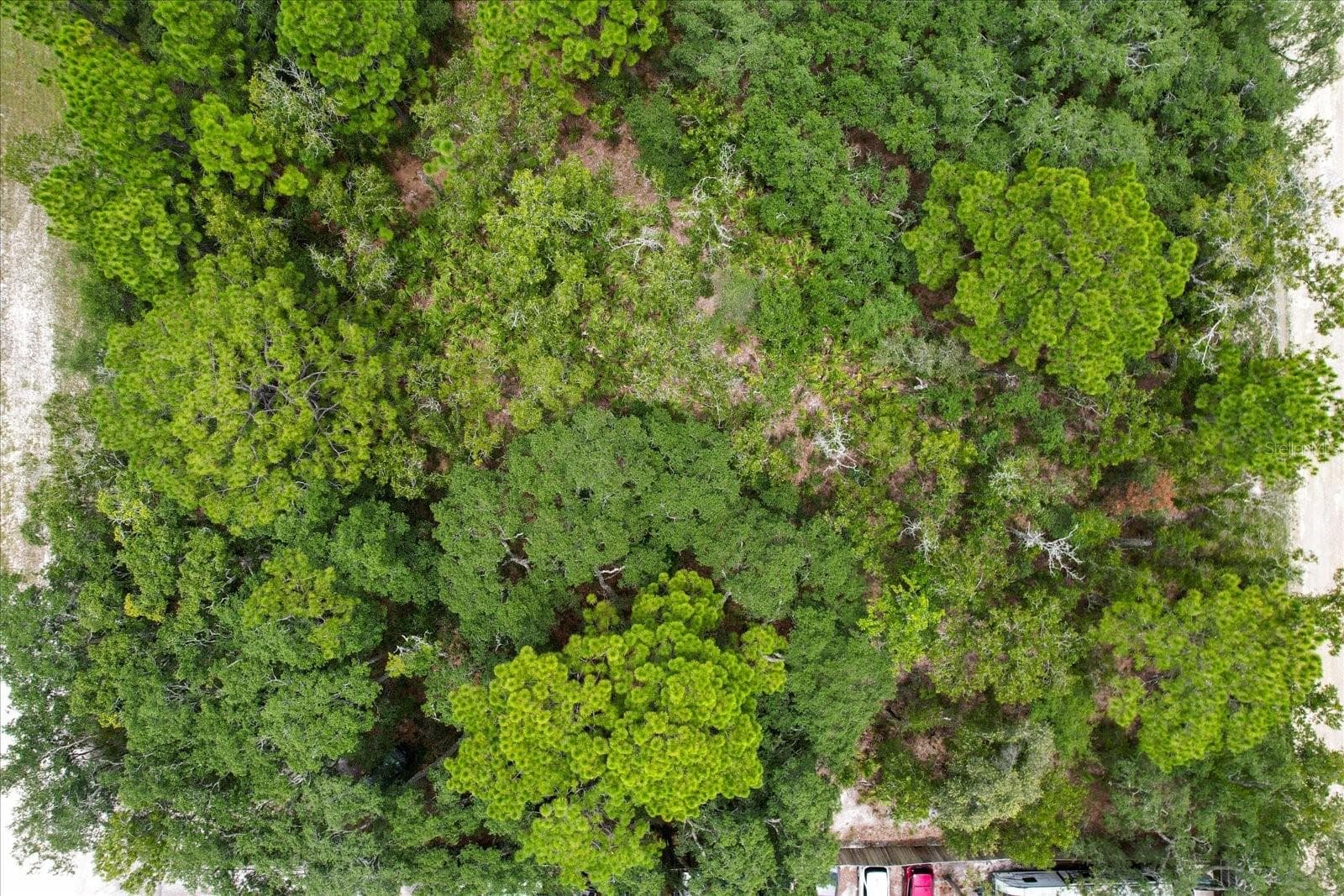 Land at 17192 NICASIO JAY AVE, BROOKSVILLE, photo 5 of 17