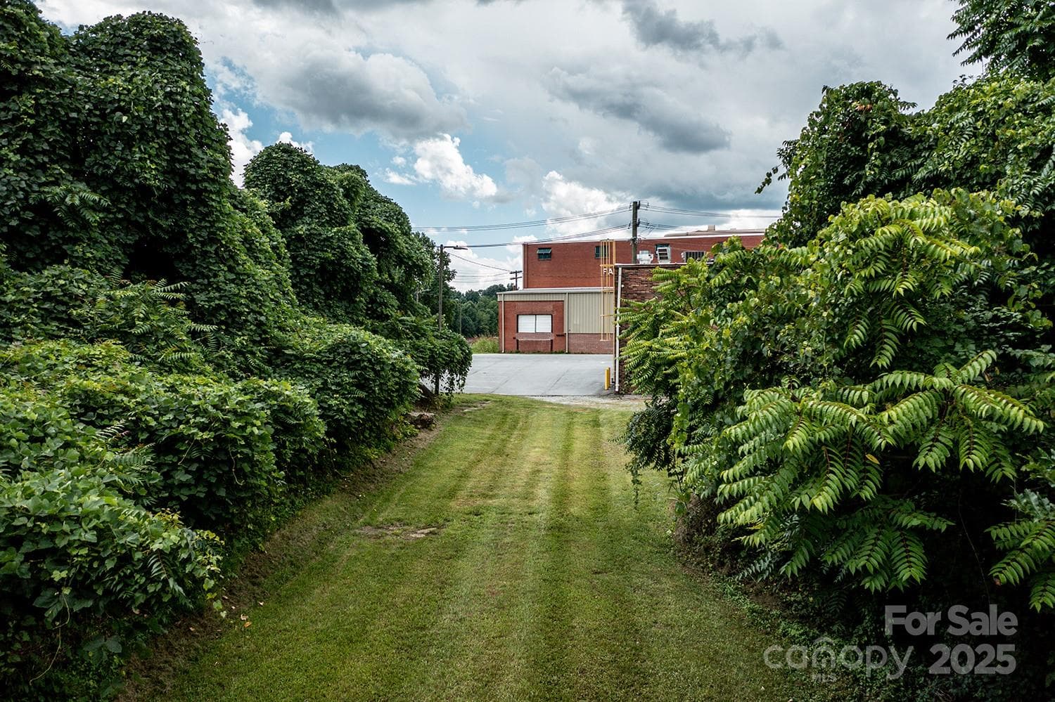 Food/Beverage at 107 Light Street, Lenoir, photo 7 of 35