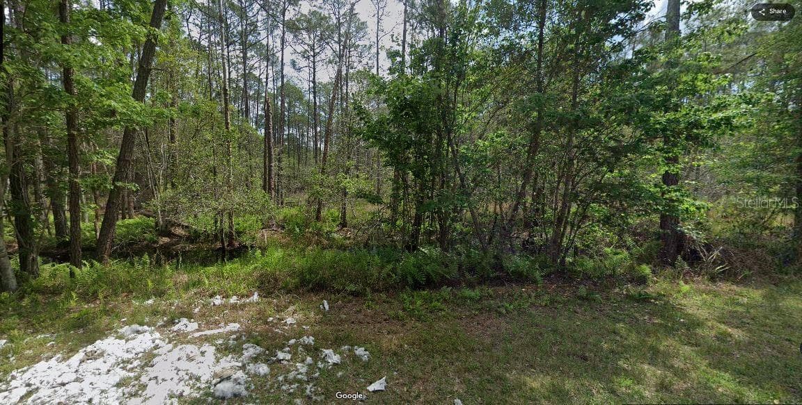 Land at 209 SE PARADISE LAKES, GEORGETOWN, photo 6 of 6