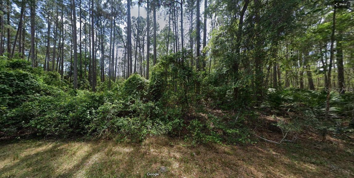 Land at 103 NORTHEAST CT, GEORGETOWN, photo 6 of 6