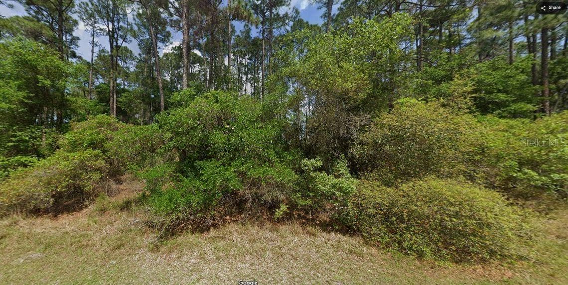 Land at SHIRLEY CIR,, GEORGETOWN, photo 6 of 6