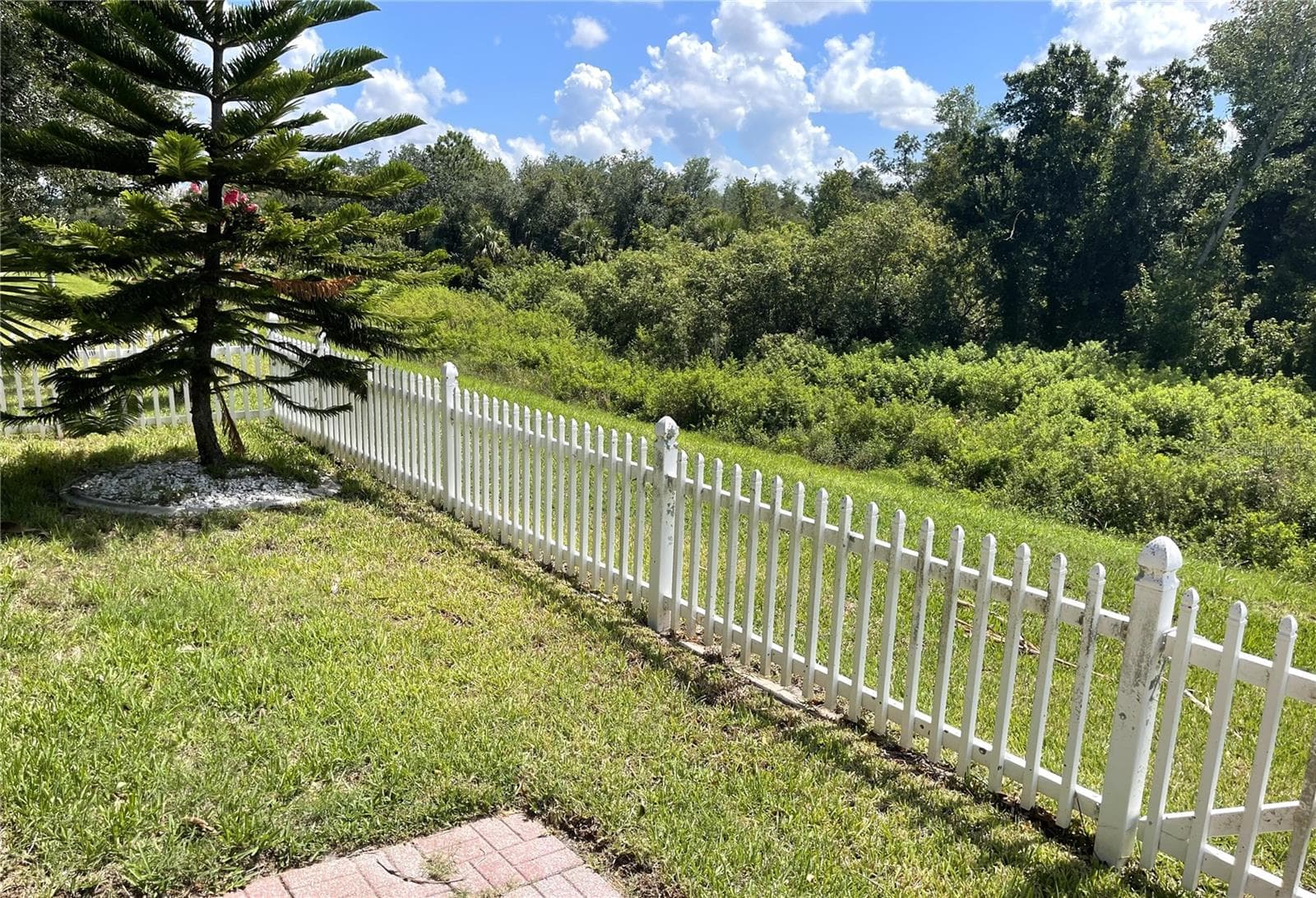 Vinyl Fenced Backyard - 2244 MAURITANIA RD, PUNTA GORDA