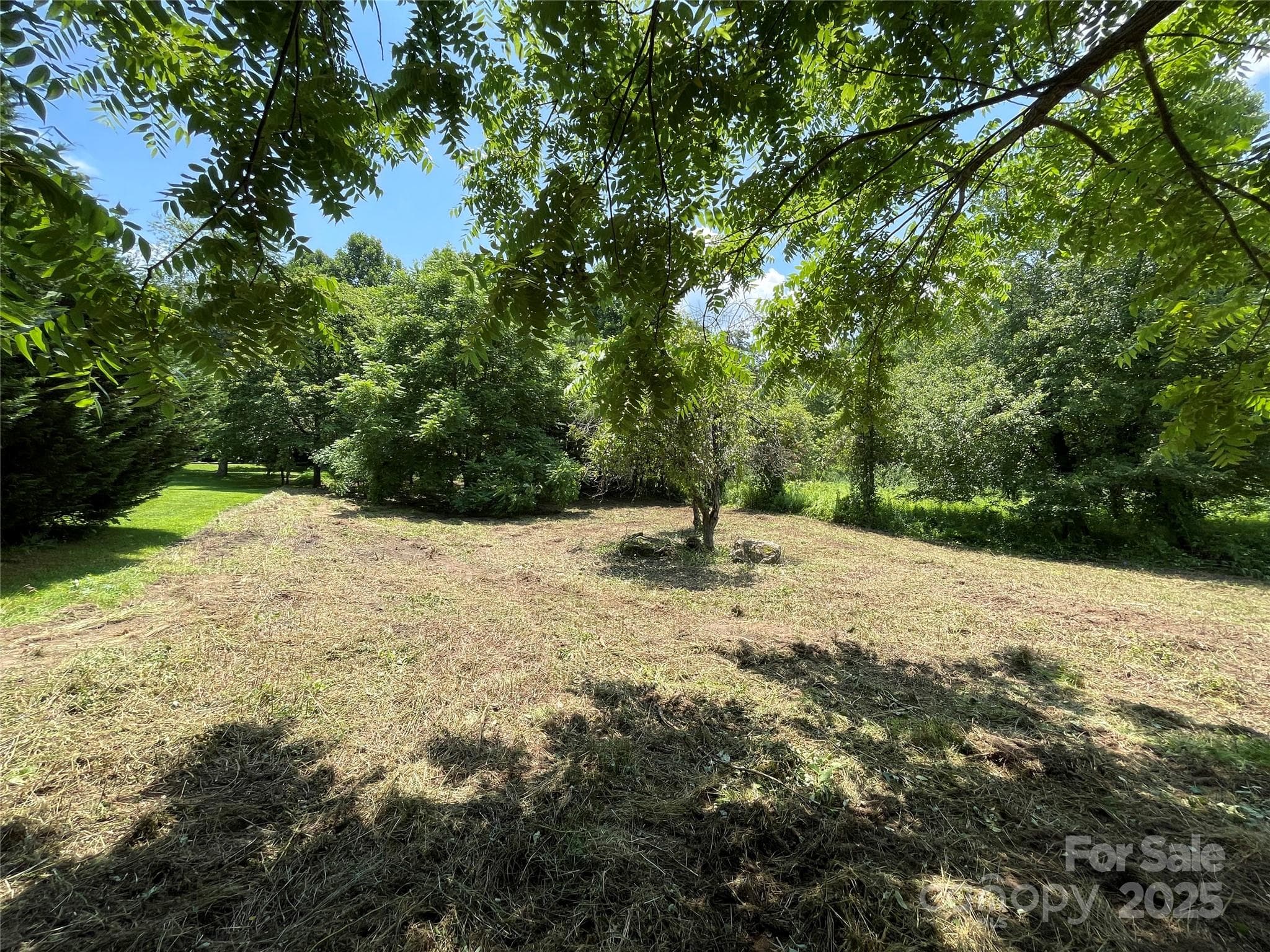 Lot at 150 Founders Drive, Flat Rock, photo 10 of 41