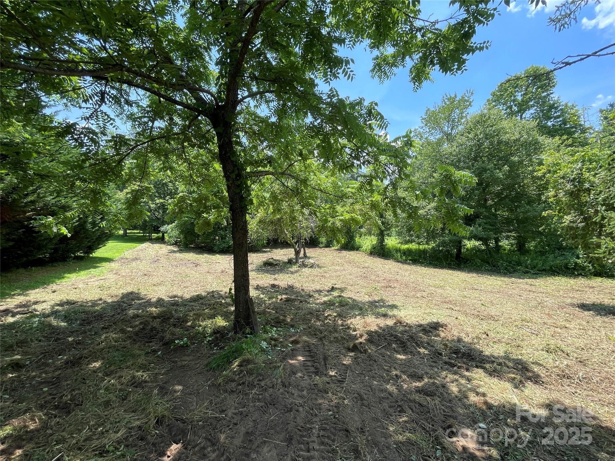 Lot at 150 Founders Drive, Flat Rock, photo 11 of 41