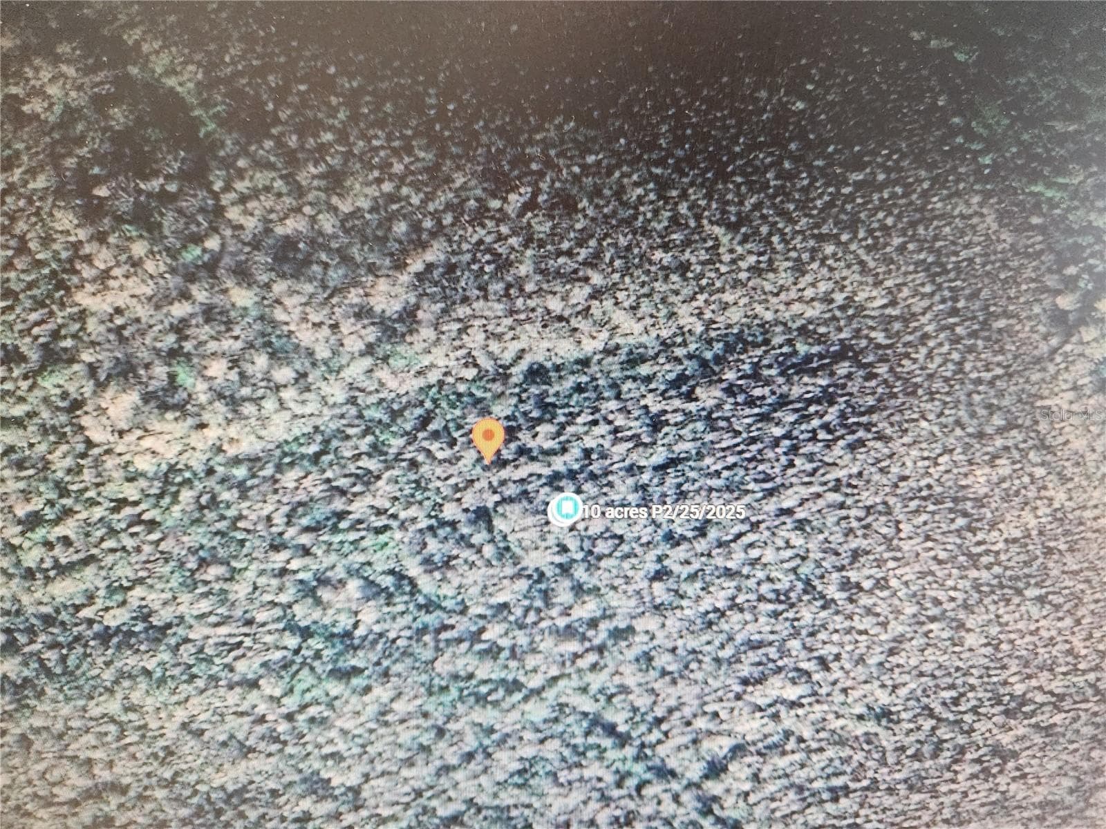 HOLOPAW GROVES RD