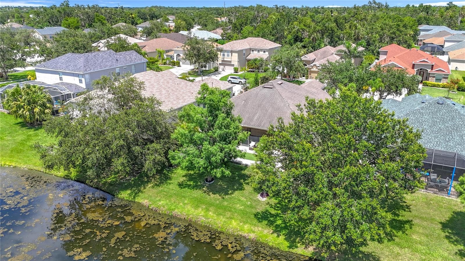 Mature trees - 3409 61ST TER E, ELLENTON
