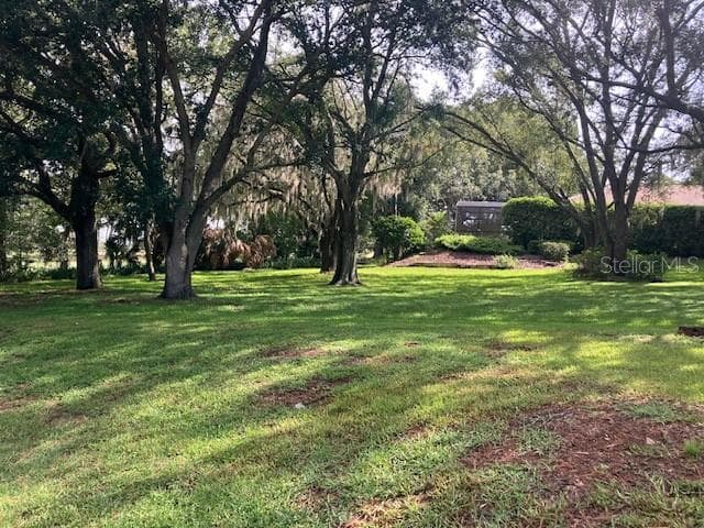 Land at 116 W MAGNOLIA AVE, HOWEY IN THE HILLS, photo 3 of 9