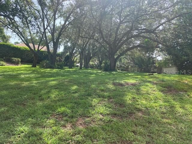 Land at 116 W MAGNOLIA AVE, HOWEY IN THE HILLS, photo 4 of 9