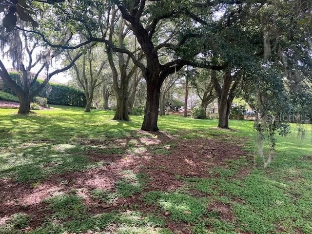 Land at 116 W MAGNOLIA AVE, HOWEY IN THE HILLS, photo 5 of 9