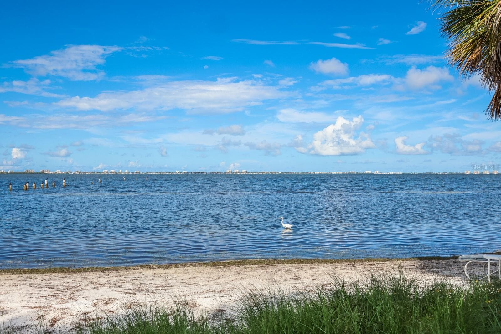 Land at 3301 BAY SHORE RD, SARASOTA, photo 31 of 38