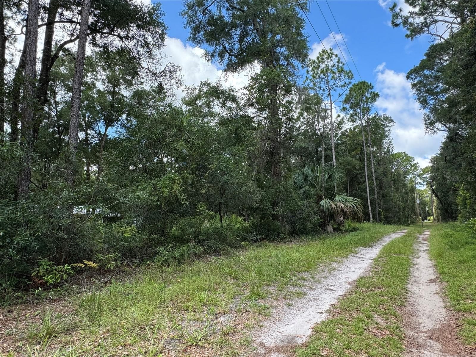 This is the view from NE corner and this road is NW 58th Place on the north side looking west - NW 58TH PL, CHIEFLAND