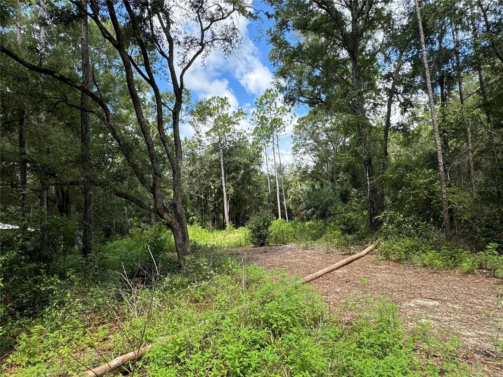 View from NW 97th Ct. This is the lot that runs from NW 58th Place to NW 59th St 200' wide road to road - NW 58TH PL, CHIEFLAND