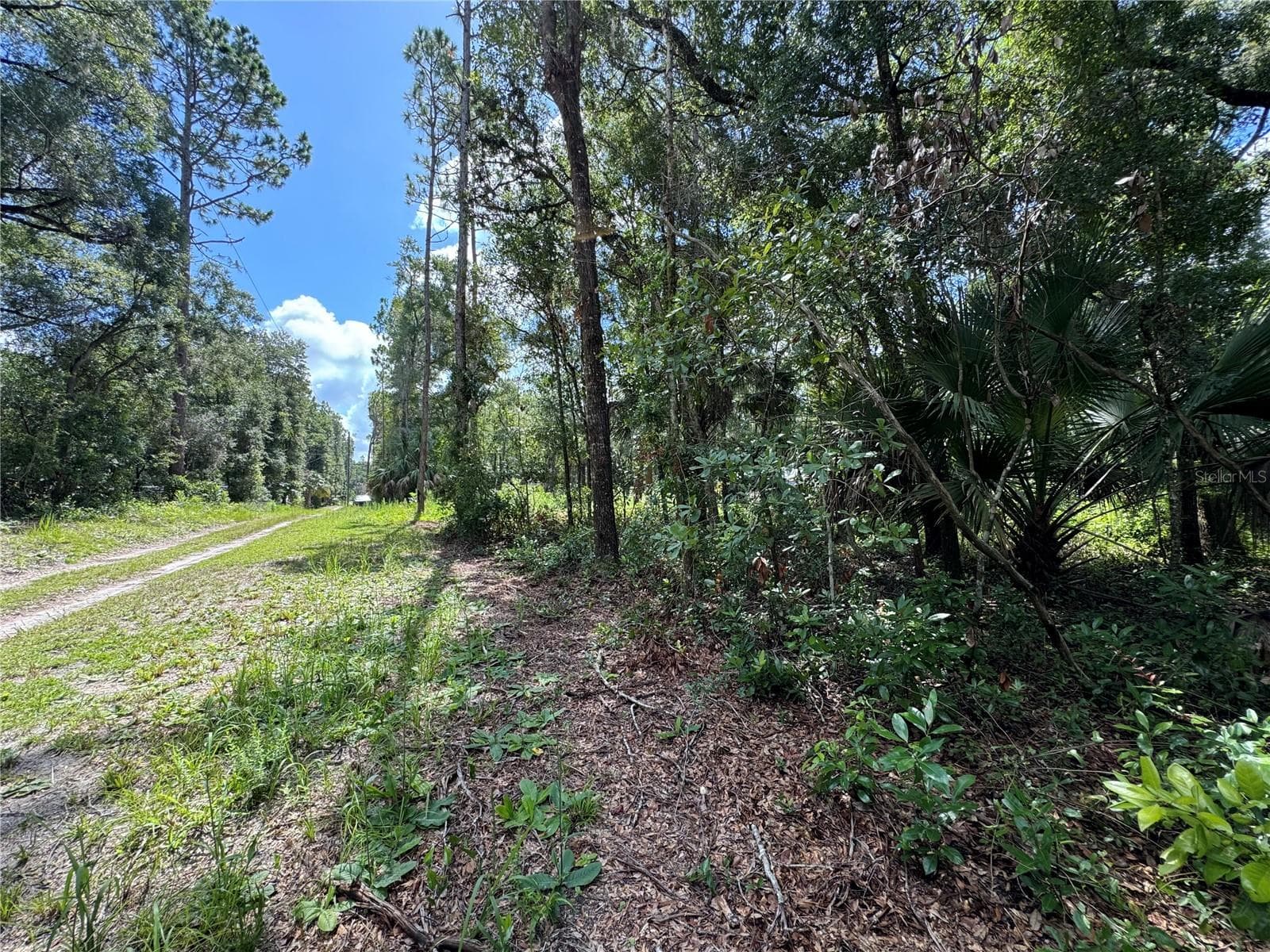 From back of lot looking east down NS 58th Place. Property on right side in this picture - NW 58TH PL, CHIEFLAND