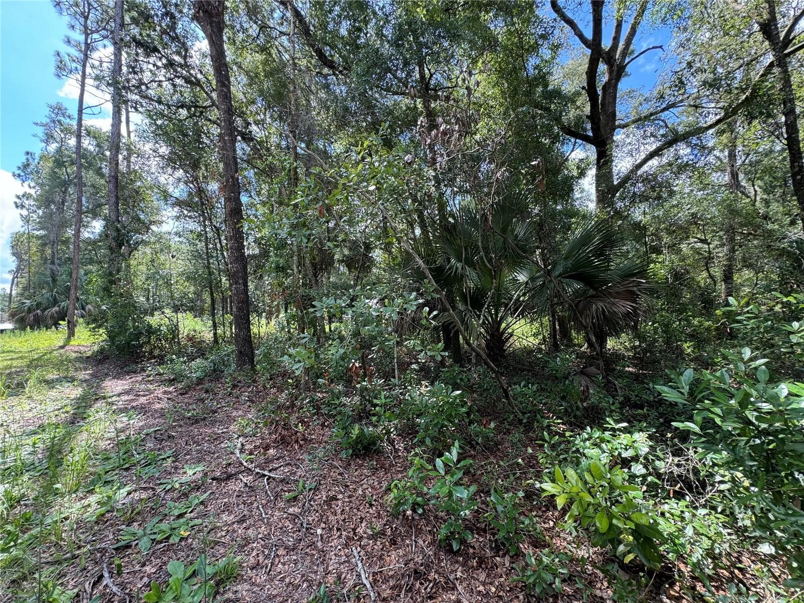 Land at NW 58TH PL, CHIEFLAND, photo 9 of 11