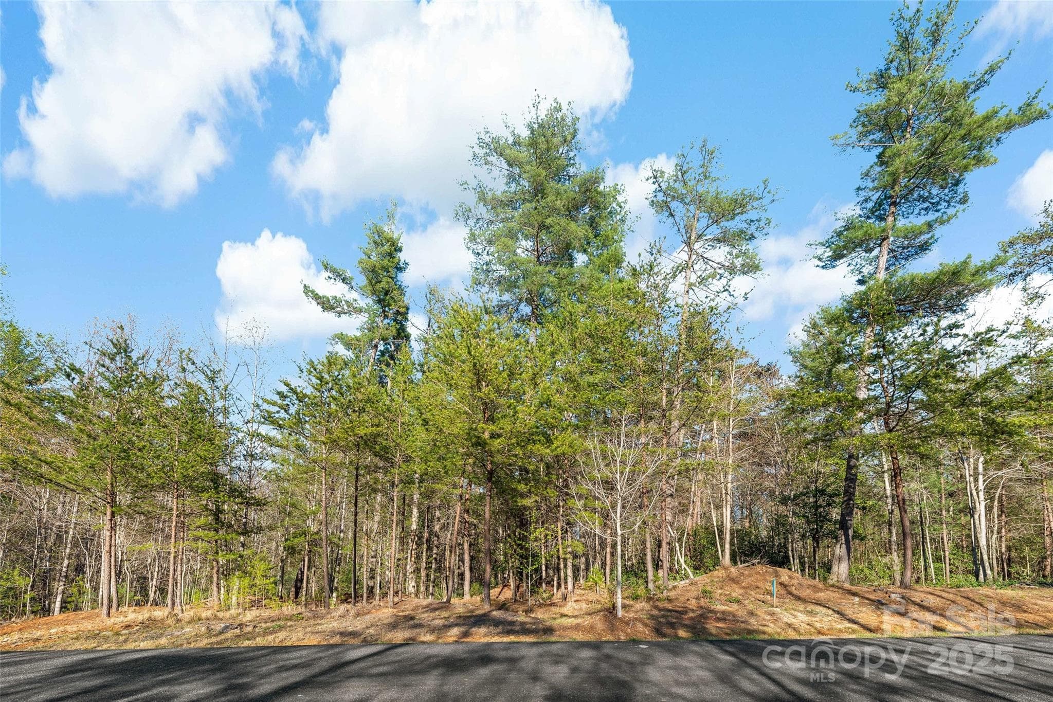 Lot at 342 Waters Edge Drive, Nebo, photo 7 of 17