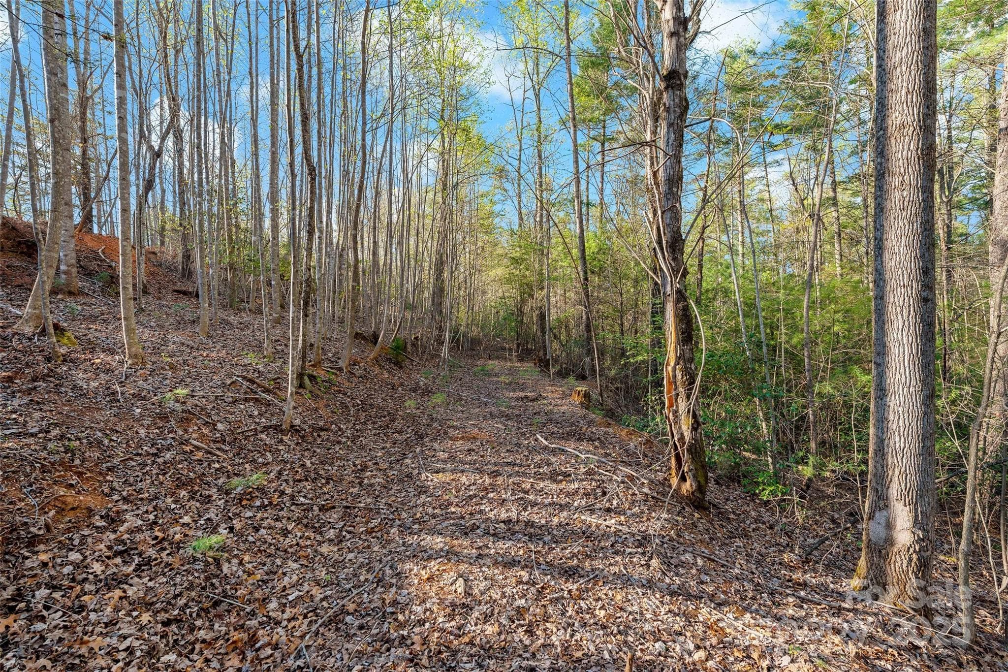 Lot at 342 Waters Edge Drive, Nebo, photo 12 of 17