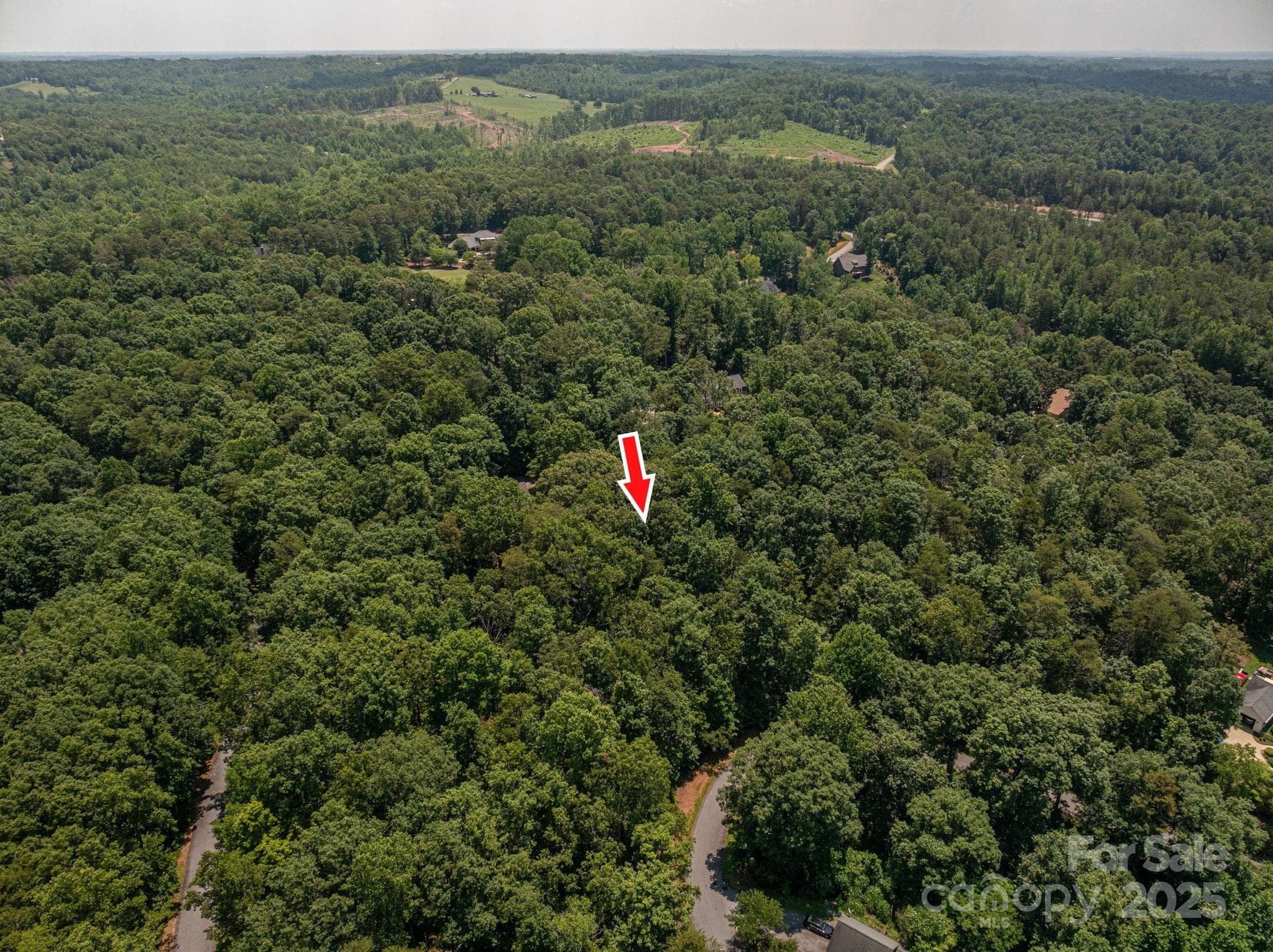 Lot at Lot #49 Moss Drive, Rutherfordton, photo 4 of 24