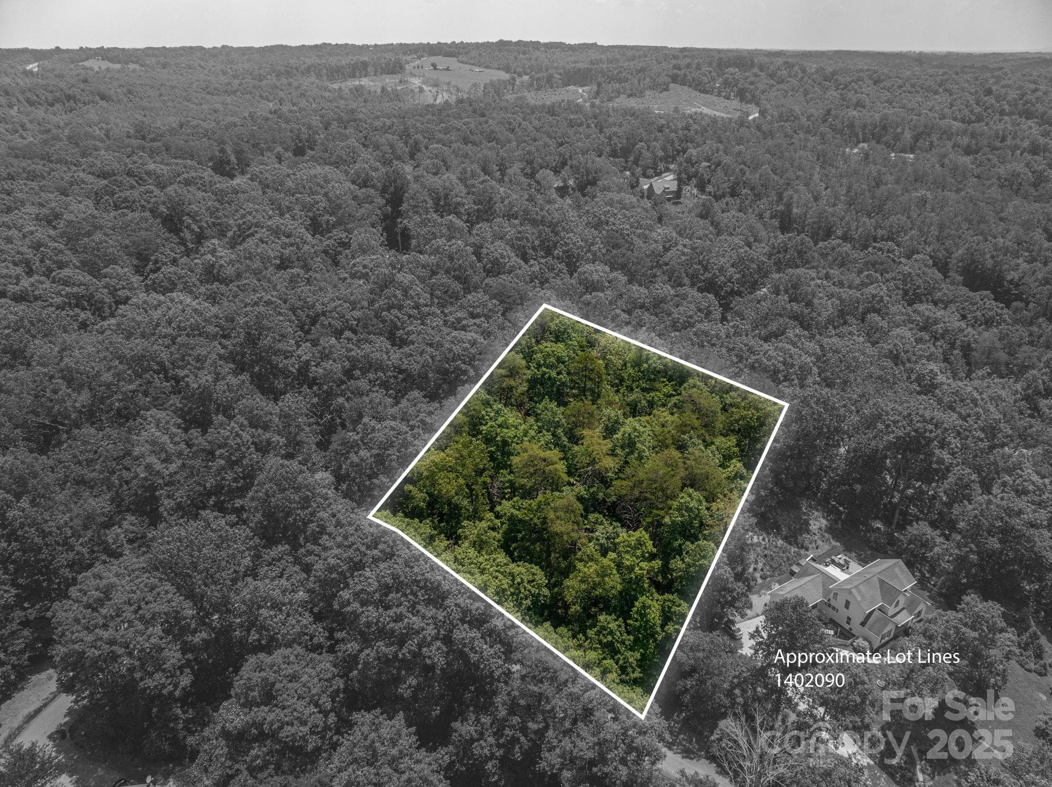 Lot at Lot #36 Moss Drive, Rutherfordton, photo 2 of 23