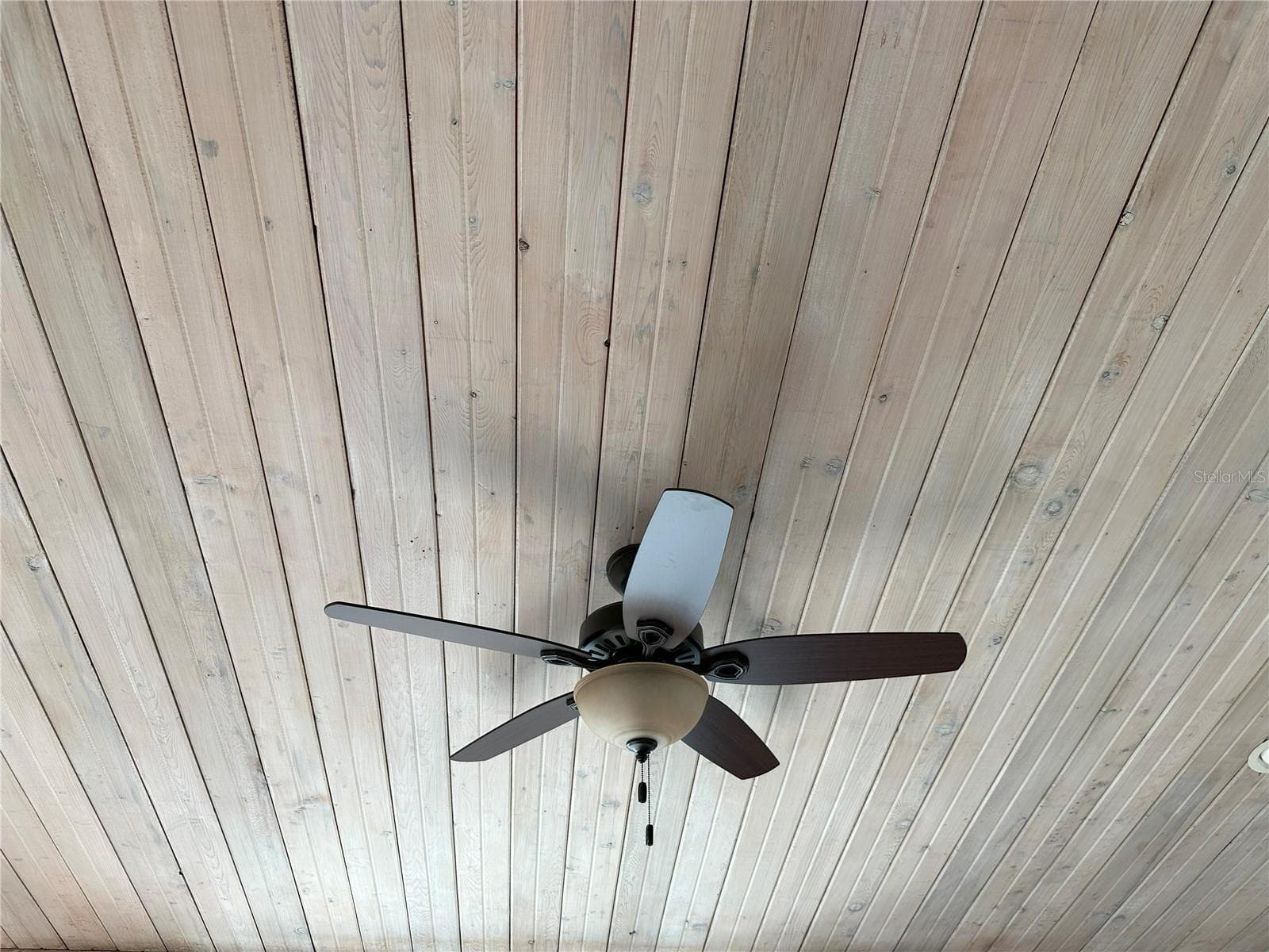 Wood Plank Ceiling in Owners' Suite - 459 HAVEN POINT DR, TREASURE ISLAND