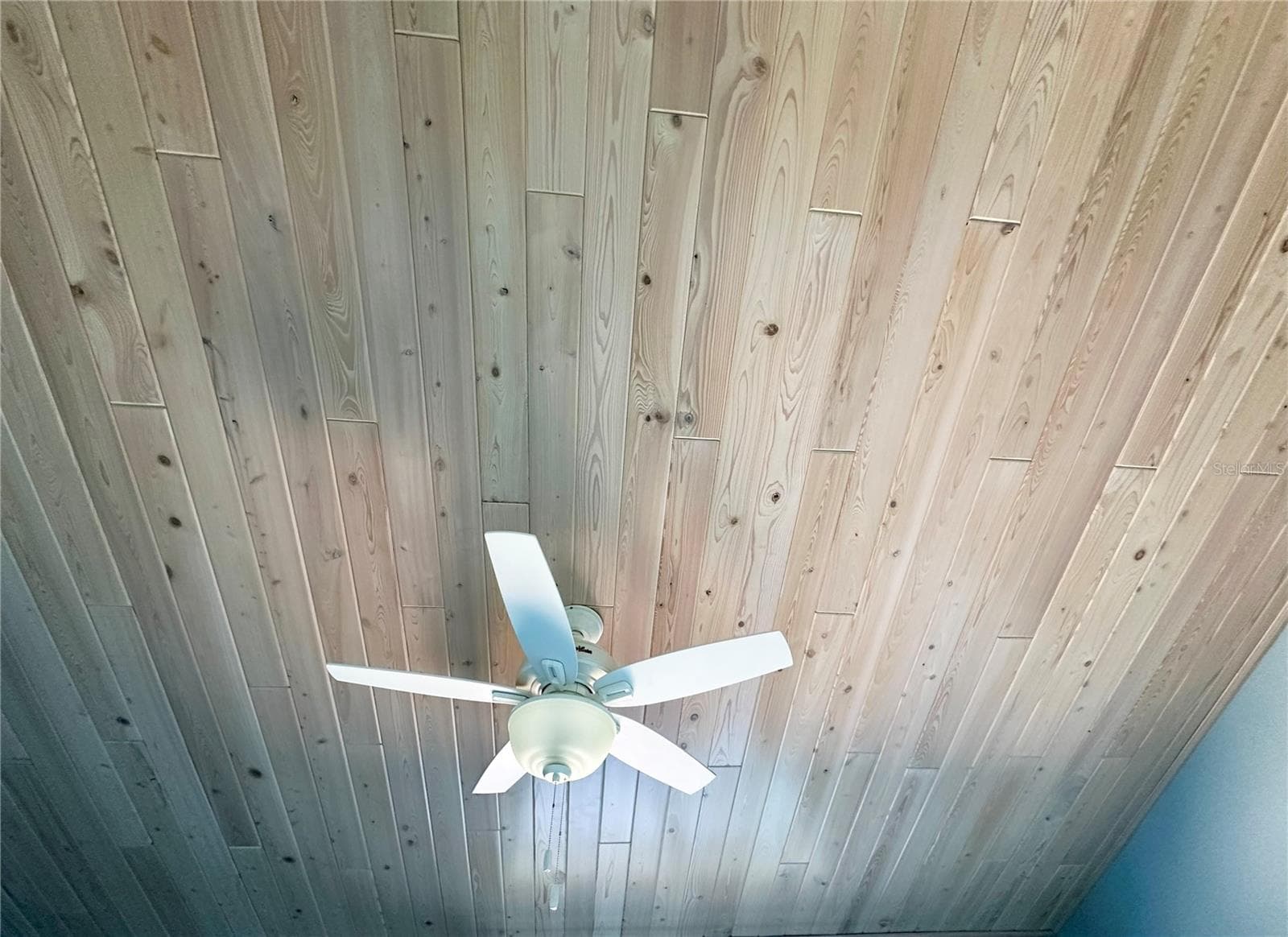 Wood Plank Ceiling in Guest EnSuite - 459 HAVEN POINT DR, TREASURE ISLAND