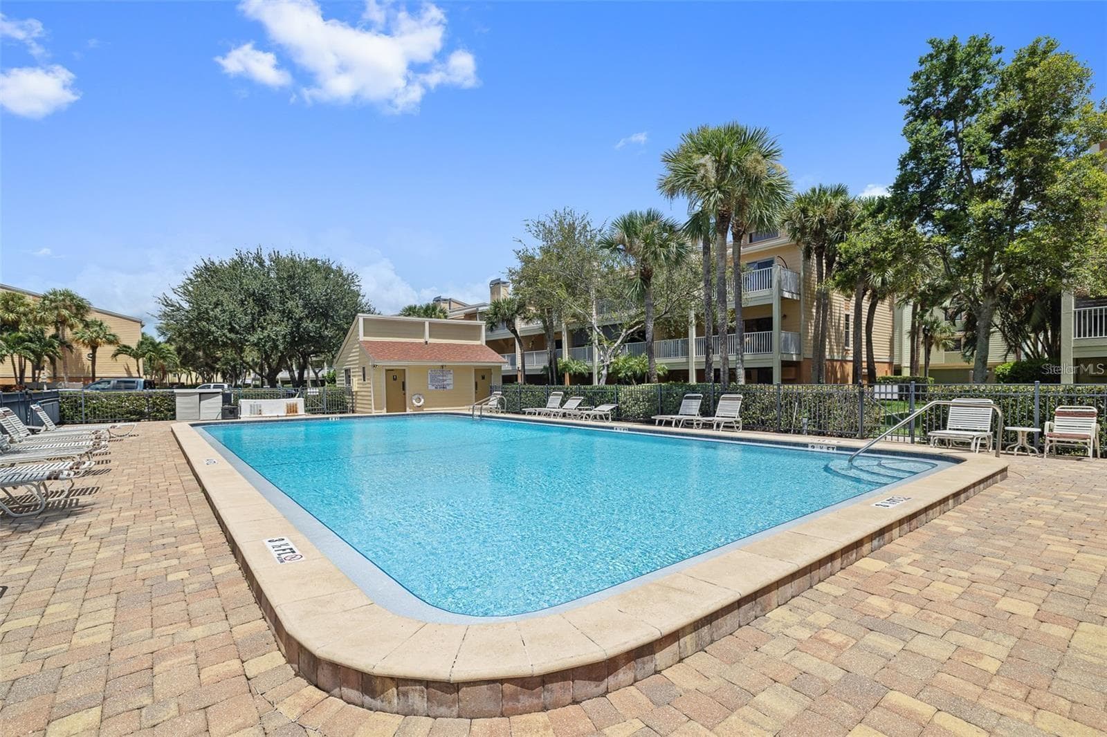 East Pool - 459 HAVEN POINT DR, TREASURE ISLAND