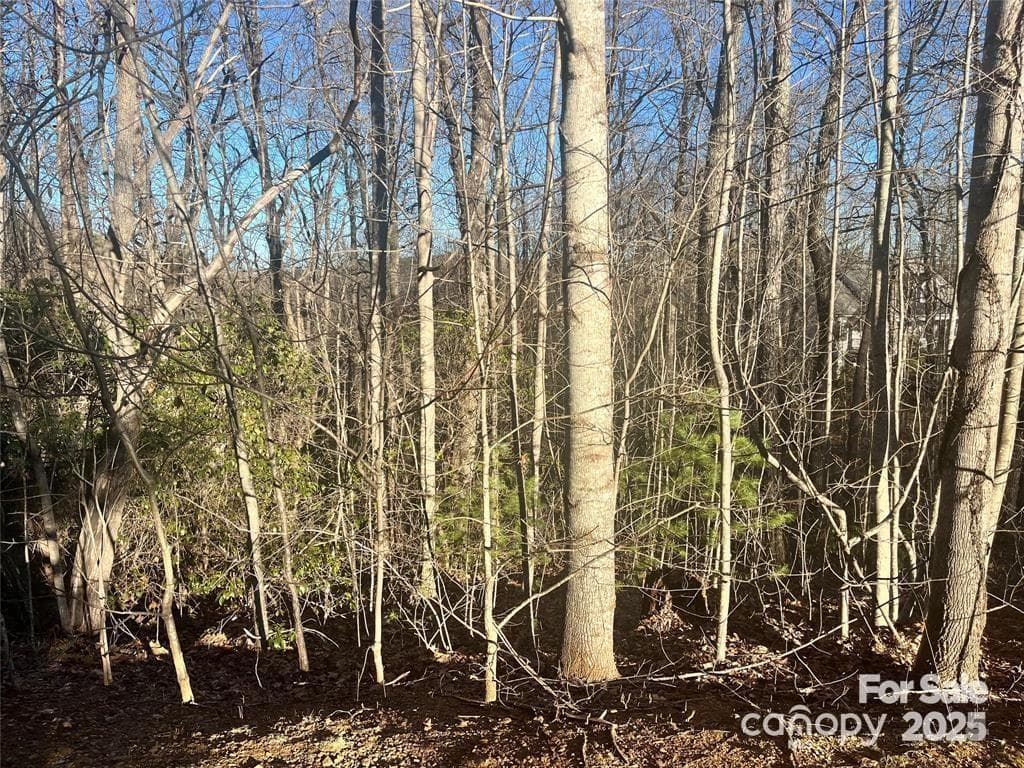 Lot at 129 Pinnacle Peak Lane, Flat Rock, photo 3 of 4
